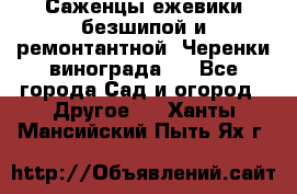 Саженцы ежевики безшипой и ремонтантной. Черенки винограда . - Все города Сад и огород » Другое   . Ханты-Мансийский,Пыть-Ях г.